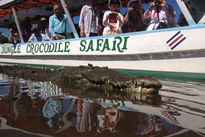 crocodile-safari-tarcoles-river