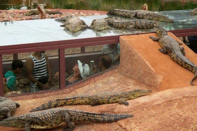 Crocoparc Trip from Agadir - Price and Overall Value