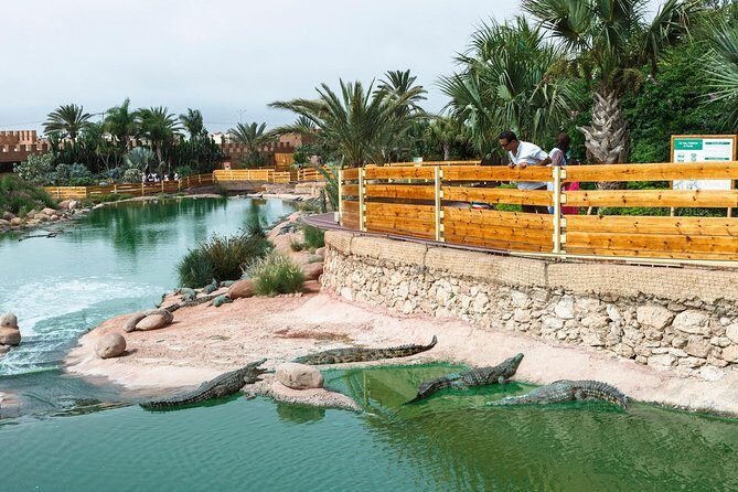 CrocoPark Visit (Transport included) - FAQ