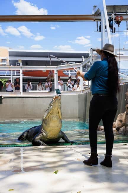 Crocosaurus Cove General Admission Ticket - Exploring Crocosaurus Cove: An In-Depth Review