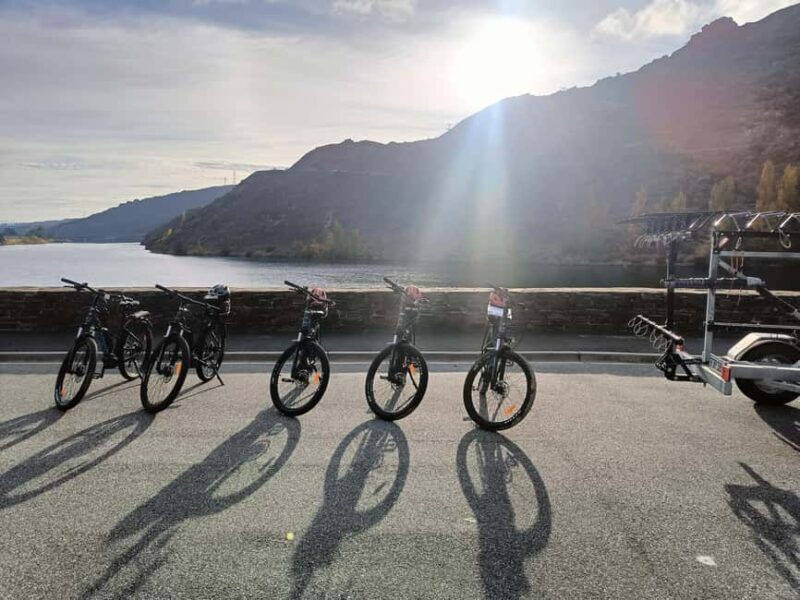 Cromwell: Lake Dunstan Trail Bike Rental and Luxury Shuttle - An Introduction to the Lake Dunstan Trail Bike Experience