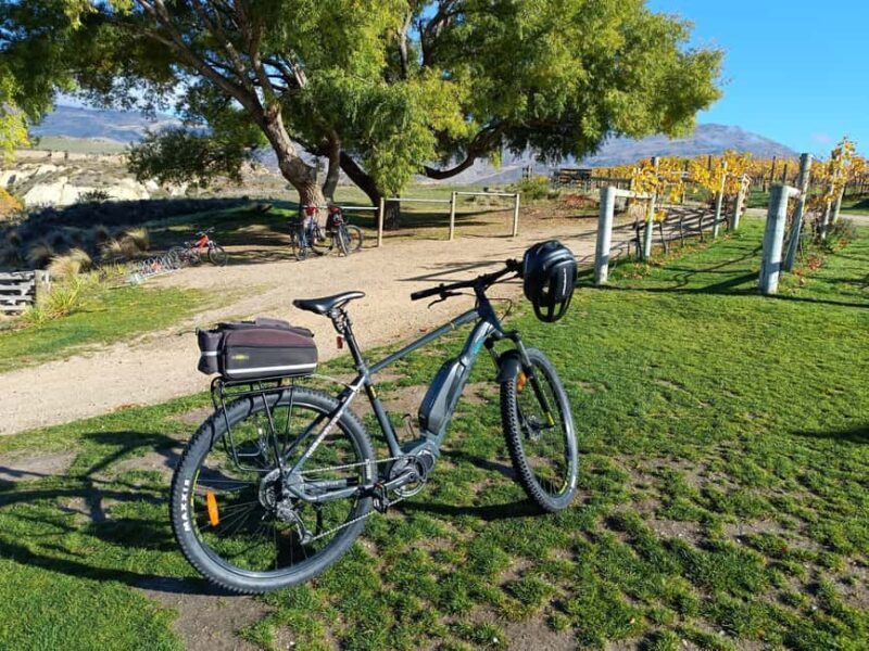 Cromwell: Lake Dunstan Trail Bike Rental and Luxury Shuttle - Authentic Experiences and Review Insights