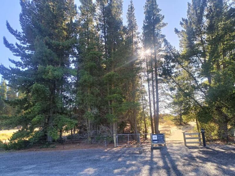 Cromwell: Lake Dunstan Trail Bike Rental and Luxury Shuttle - The Sum Up