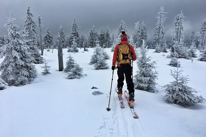 cross-country-skiing-guided-tour-from-prague