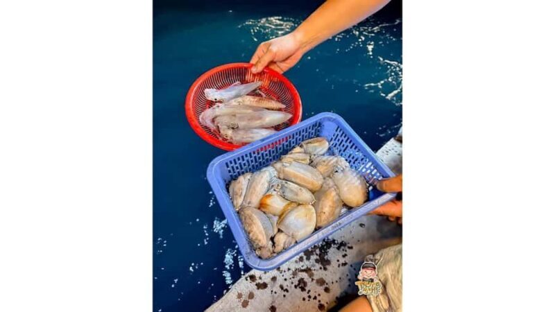 Crossing: Sunset Boat Trip with Squid Fishing - Key Points