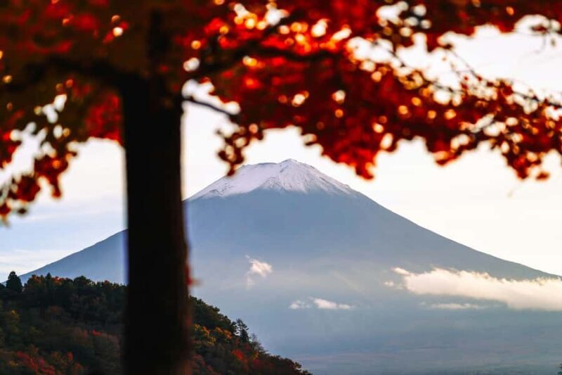 Crowd-Free Hidden Spots - Mt.Fuji Private Luxurious Car Tour - Key Points