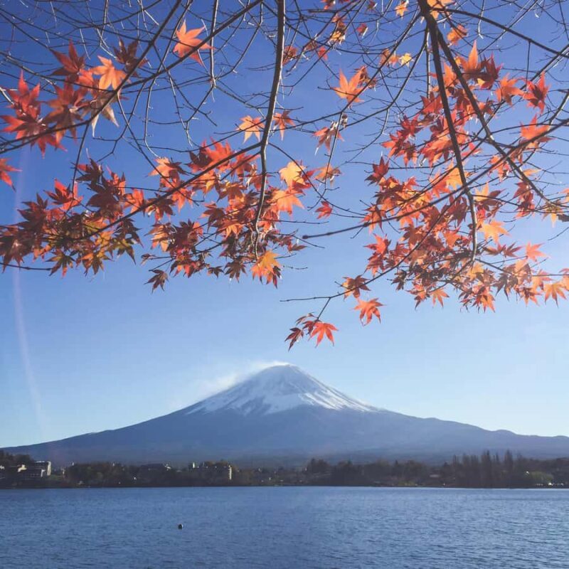 Crowd-Free Hidden Spots - Mt.Fuji Private Luxurious Car Tour - Discover Mount Fuji’s Quiet Side