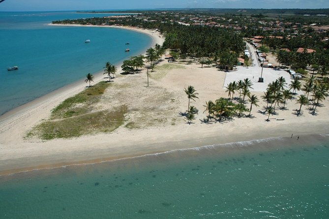 crown-red-discovery-coast-day-trip-from-porto-seguro