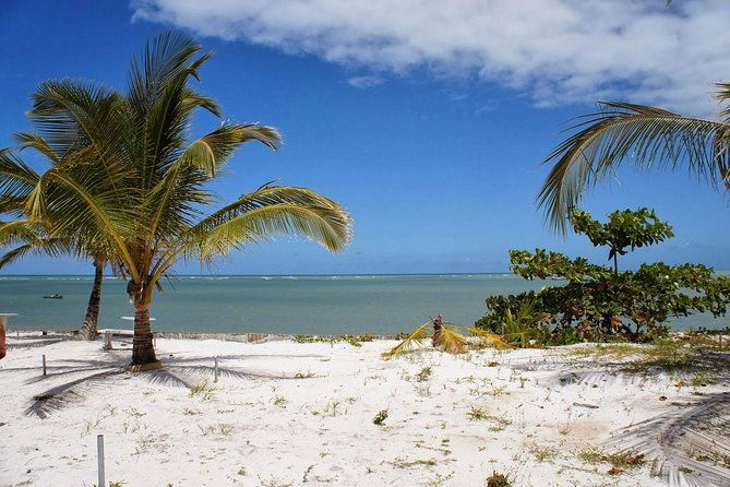 crown-red-discovery-coast-day-trip-from-porto-seguro