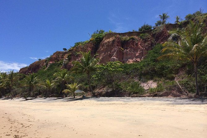 crown-red-discovery-coast-day-trip-from-porto-seguro