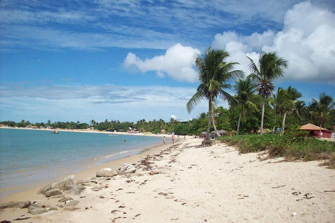 crown-red-discovery-coast-day-trip-from-porto-seguro