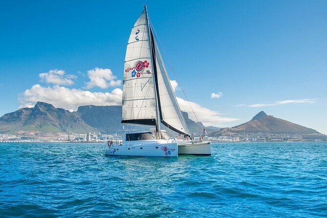 Cruise and Dine Dinner / Cape Town: Sunset Champagne Cruise and 3-Course Dinner - The Experience Breakdown