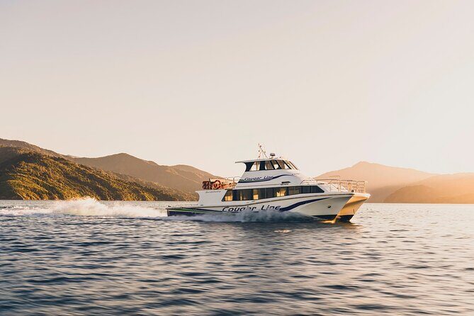 Cruise and Lunch at Furneaux Lodge - Morning Departure from Picton