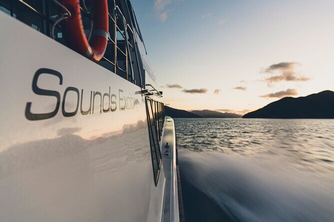 Cruise and Lunch at Furneaux Lodge - Lunch Time