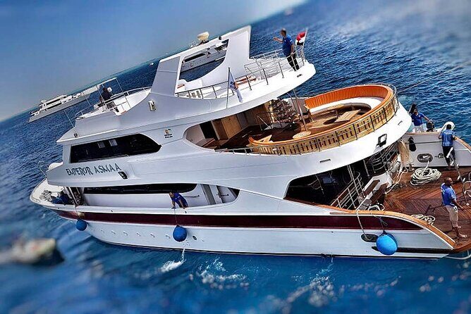 Cruise and Snorkeling with Dolphins Including Lunch from Hurghada - Final Thoughts