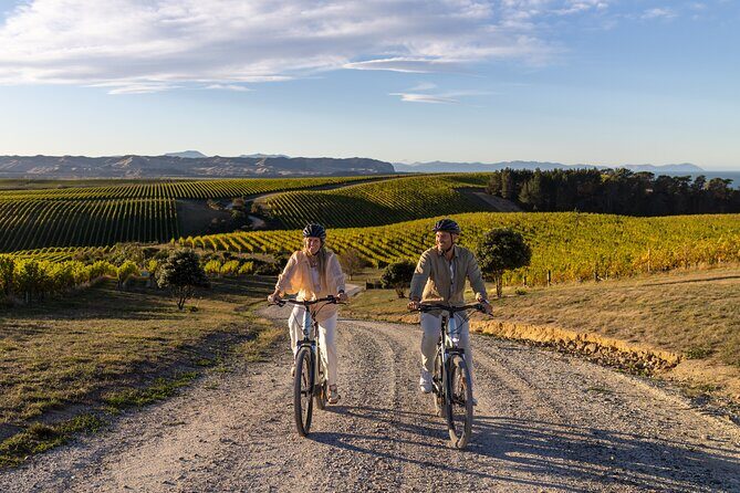Cruise Excursion Self Guided Biking Wine Tour - Key Points