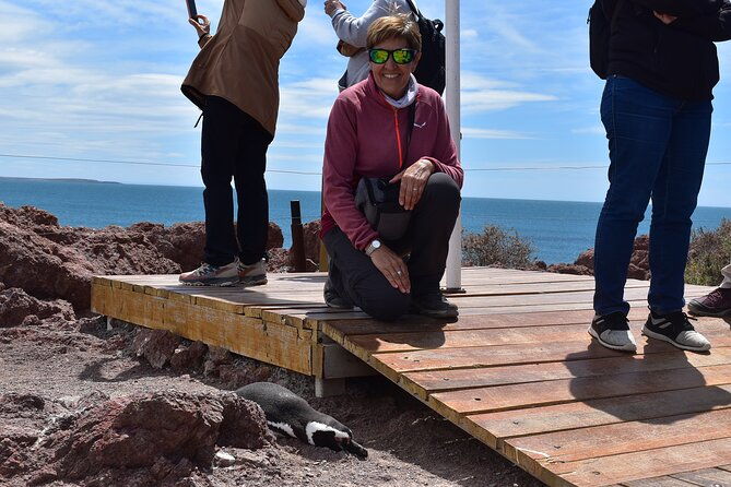 cruise-excursion-to-punta-tombo-from-puerto-madryn