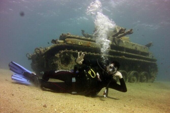 Cruise Experience Half-Day from Aqaba - Key Points