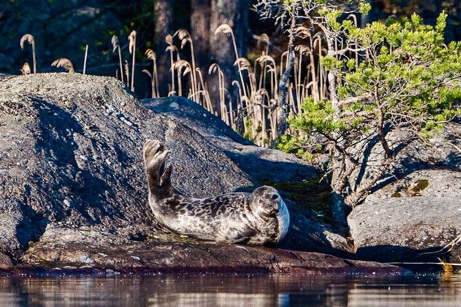 cruise-in-puumala-by-lake-saimaa