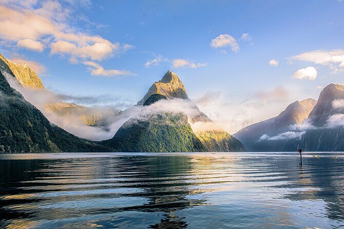 Cruise Milford NZ Small Boutique Cruise Experience - Practical Tips for Booking and Preparation