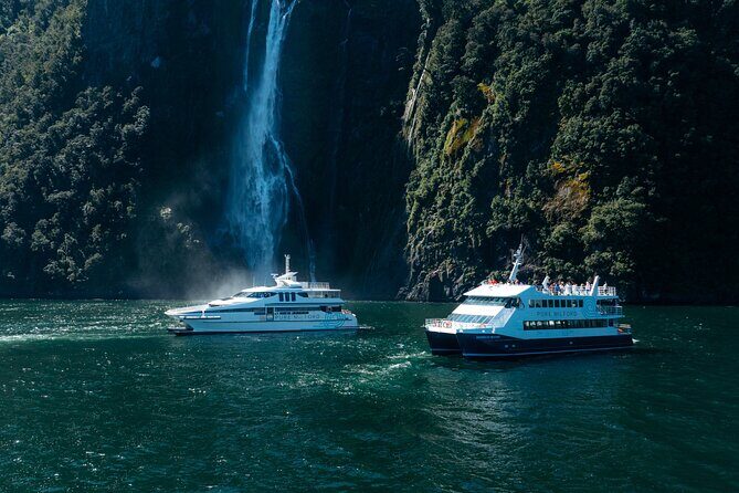 Cruise Milford NZ Small Boutique Cruise Experience - Who Should Book This Tour?