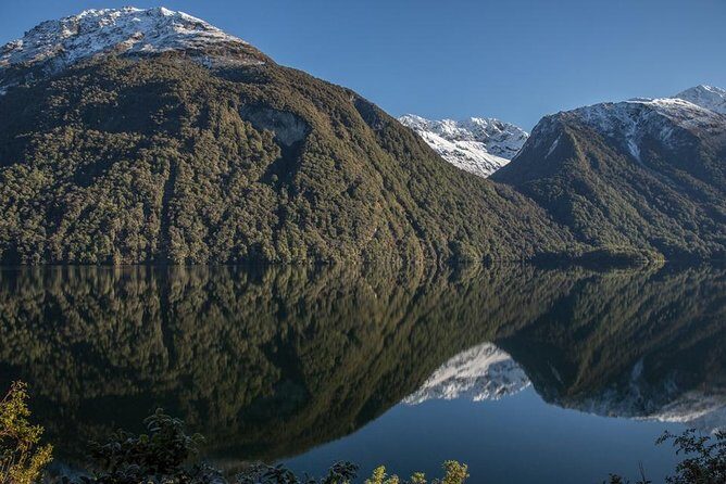 Cruise Milford Small Group Day Tour from Queenstown - Experience Overview and What Makes It Special