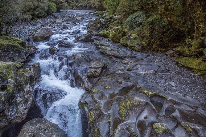 Cruise Milford Small Group Day Tour from Queenstown - Final Thoughts