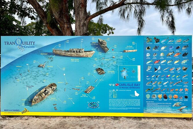 cruise-passanger-beach-day-in-barbados-with-shuttle-transfers