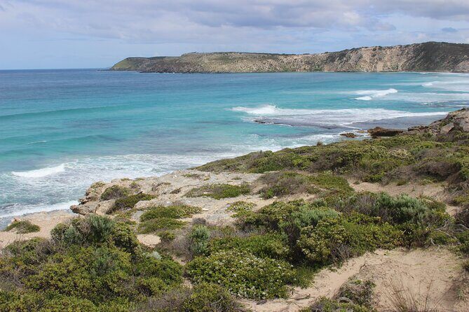 Cruise Ship Dudley Peninsula Tour - What to Expect from the Dudley Peninsula Tour