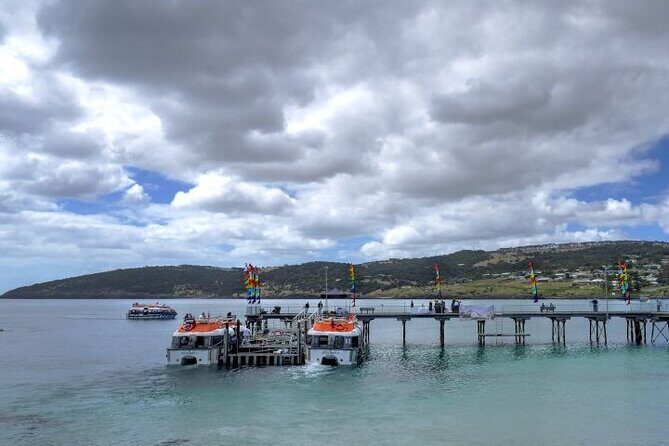 Cruise Ship Dudley Peninsula Tour - FAQ