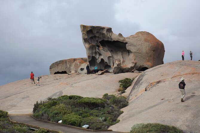 Cruise Ship Flinders Chase Tour - Why This Tour Stands Out