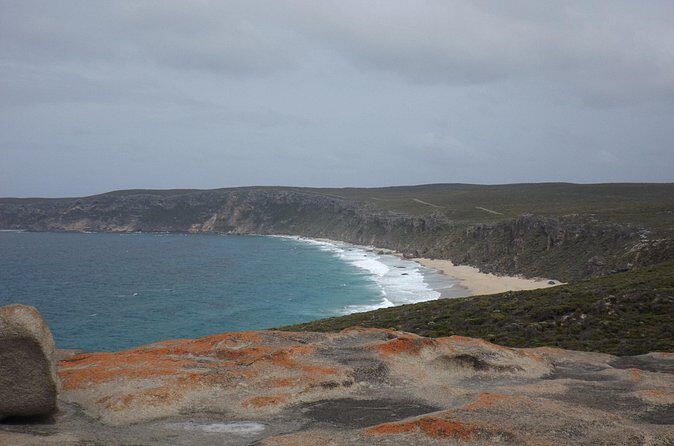 Cruise Ship Flinders Chase Tour - Authentic Experiences Shared by Travelers