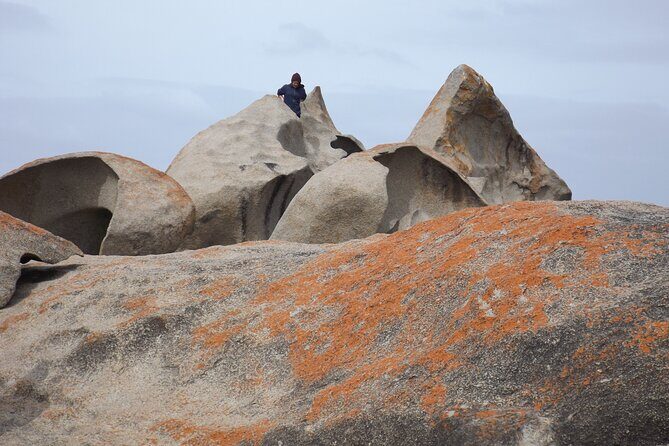 Cruise Ship Flinders Chase Tour - FAQ