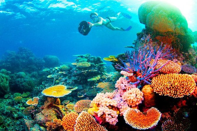 cruise-ship-multiple-snorkeling-snacks-music-private-vehicle