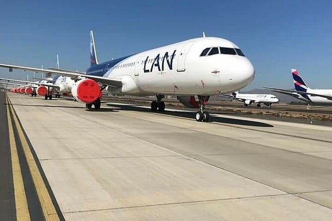 cruise-ship-shore-excursions-for-any-cruise-lines