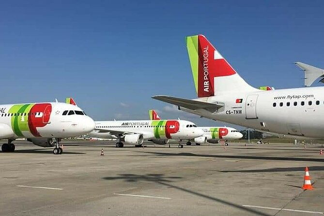 cruise-ship-shore-excursions-for-any-cruise-lines