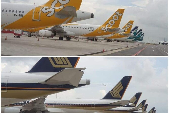 cruise-ship-shore-excursions-for-any-cruise-lines