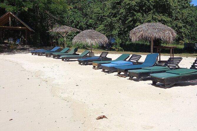 cruise-ship-shore-excursions-for-any-cruise-lines