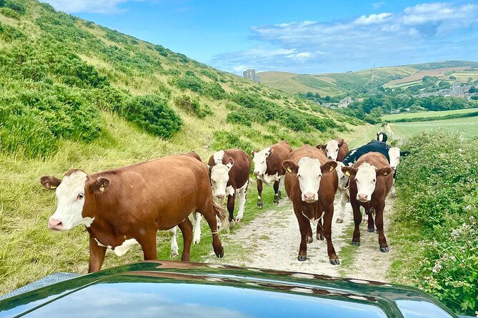 cruise-ship-special-jeep-safari-private-guided-tour-6-hours