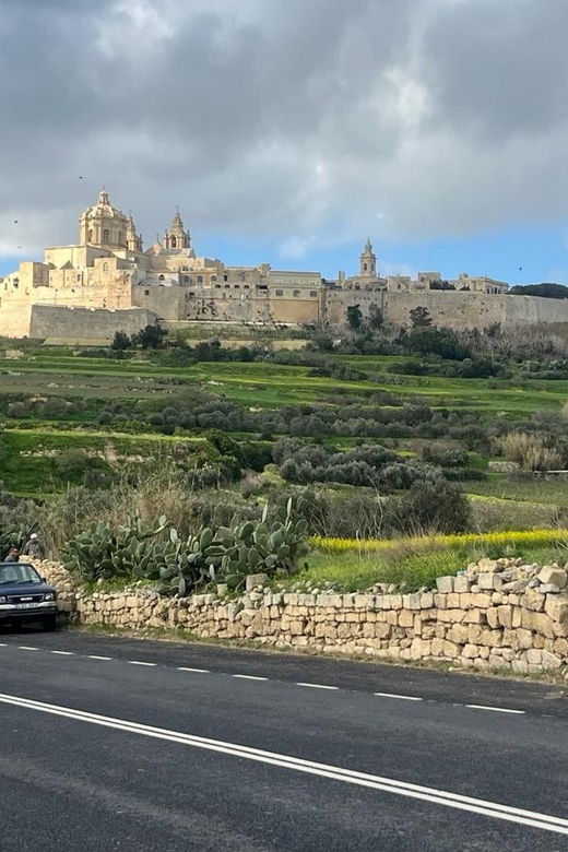 cruise-ships-malta-5hours-customised-excursions