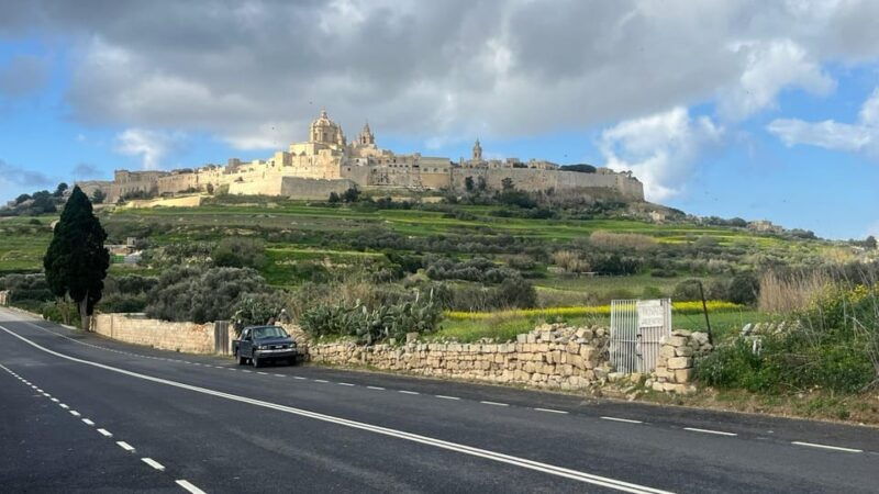 cruise-ships-malta-5hours-customised-excursions