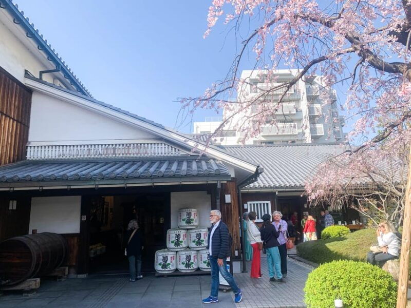 cruise-shore-excursion-kobe-sake-tasting-with-local-guide