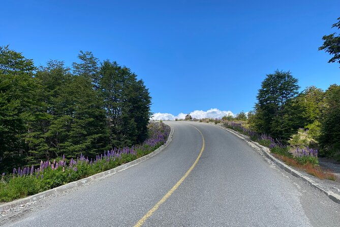 cruise-shore-excursion-osorno-volcano-petrohue-waterfalls