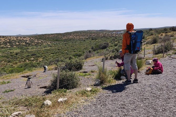 cruise-shore-excursion-punta-tombo-from-puerto-madryn-patagonia