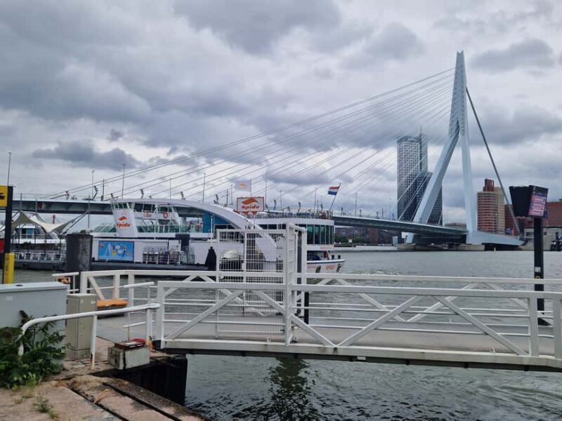 Cruise Terminal Rotterdam: Private Tour by Luxury Van - The Guide and Experience Quality