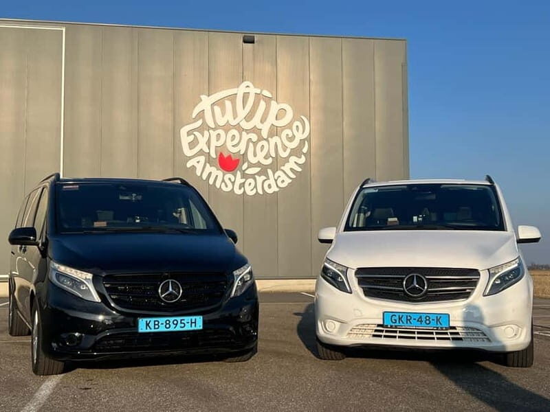 Cruise Terminal Rotterdam: Private Tour by Luxury Van - Why a Private Custom Tour at Rotterdam’s Cruise Terminal Might Be Your Best Choice