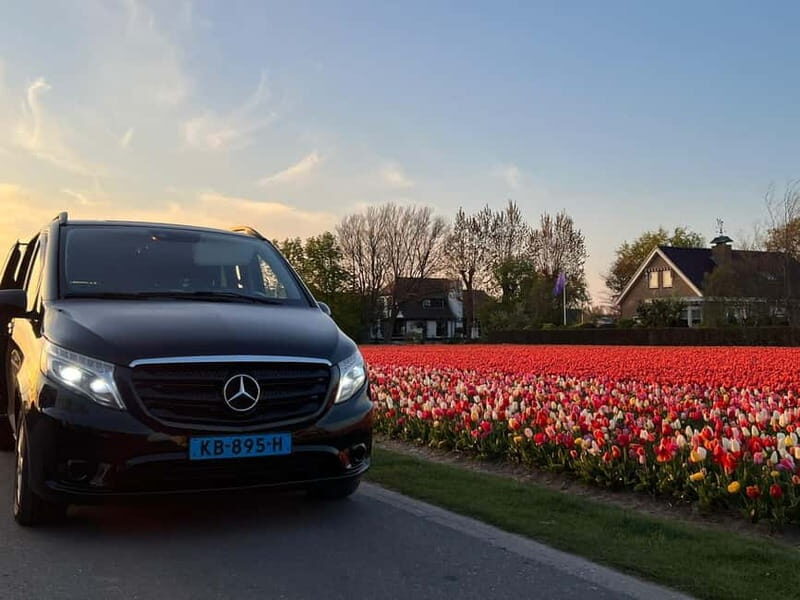 Cruise Terminal Rotterdam: Private Tour by Luxury Van - The Practicalities: What You Need to Know
