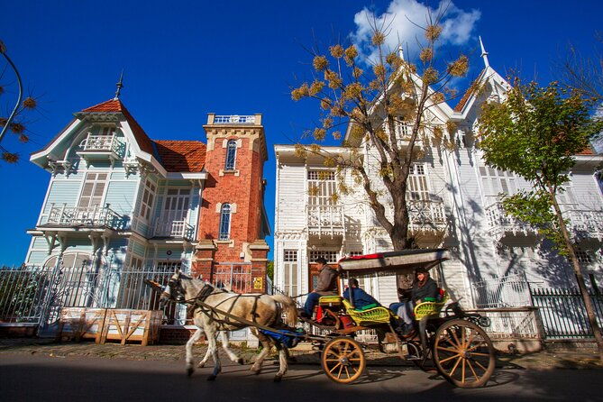 cruise-to-the-princes-islands