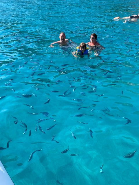 cruise-tour-of-the-calanques-of-piana-swimming-by-speedboat