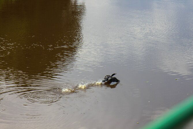 cruise-tour-through-the-bolivian-amazon-in-trinidad-beni